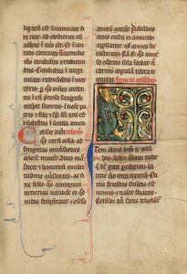 A Dragon and Two Doves in a Tree